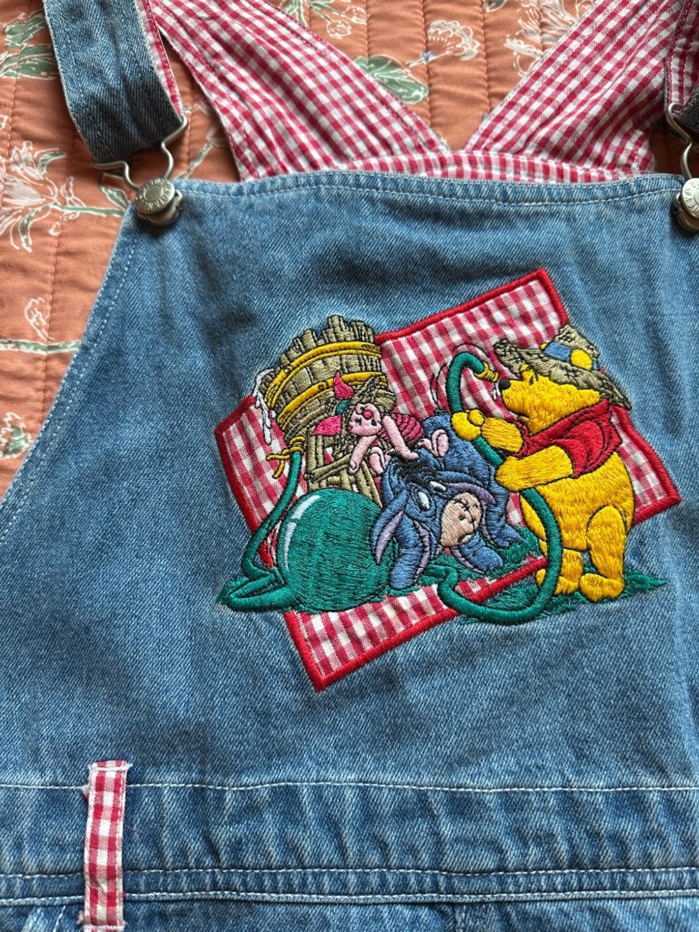 RARE Vintage Pooh Fruit Shortalls! - Picture 2 of 7